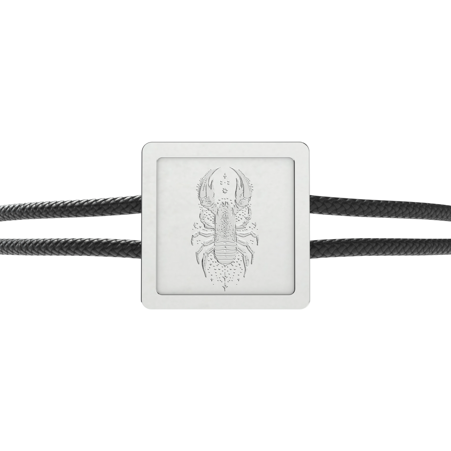 Scorpio Zodiac Sign_square